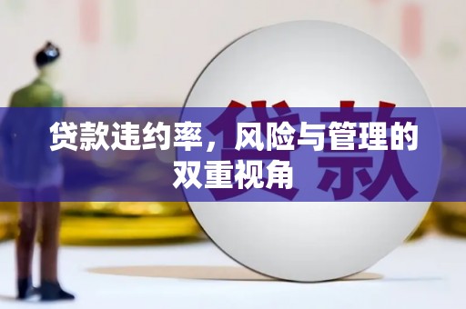 迁安市贷款违约率，风险与管理的双重视角