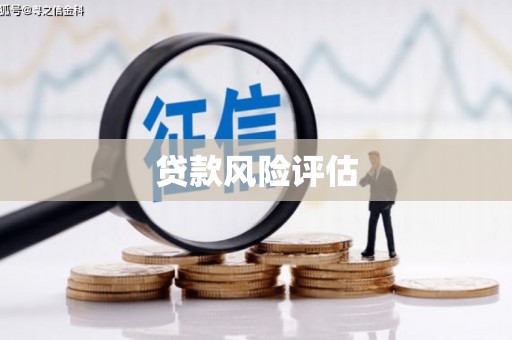 迁安市贷款风险评估