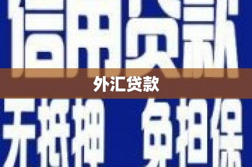 迁安市外汇贷款