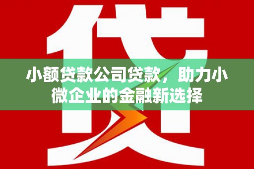 迁安市小额贷款公司贷款，助力小微企业的金融新选择