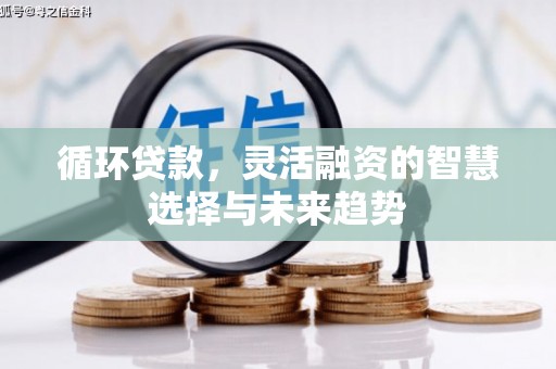迁安市循环贷款，灵活融资的智慧选择与未来趋势