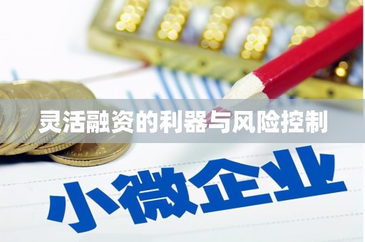 迁安市灵活融资的利器与风险控制