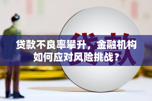 迁安市贷款不良率攀升，金融机构如何应对风险挑战？
