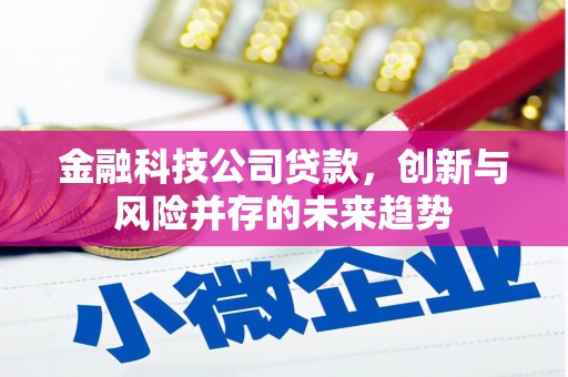 迁安市金融科技公司贷款，创新与风险并存的未来趋势