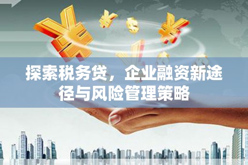 迁安市探索税务贷，企业融资新途径与风险管理策略