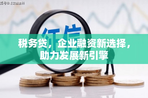 迁安市税务贷，企业融资新选择，助力发展新引擎